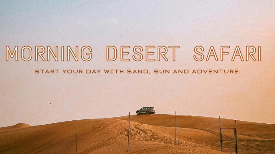 Morning desert Safari tour