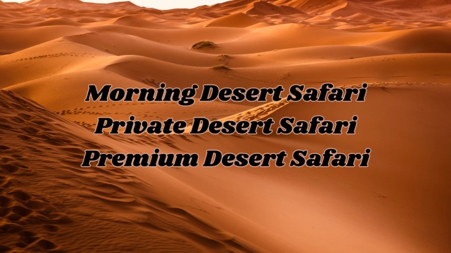 type of desert safari tour 1