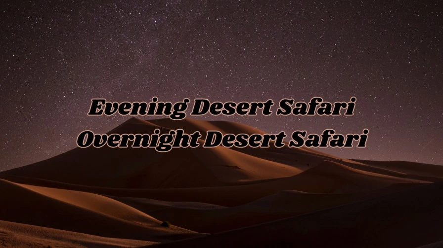 type of desert safari tour 2