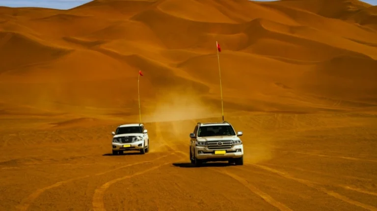 why dune bashing